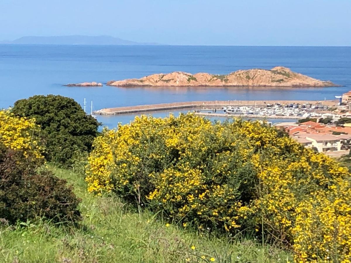 Borgo Spiaggia 罗萨岛 外观 照片