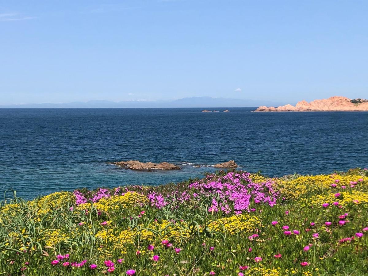 Borgo Spiaggia 罗萨岛 外观 照片